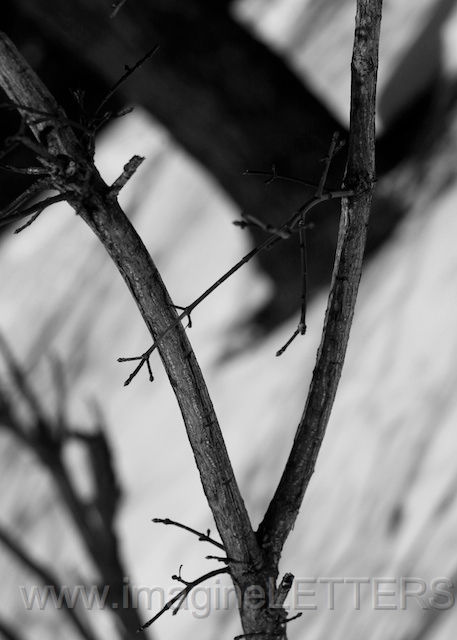 Wall_Art_Alphabet_Photography_Art_ 2320.jpg
